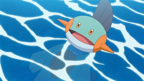 Brocks Marshtomp Pokémon Wiki Fandom