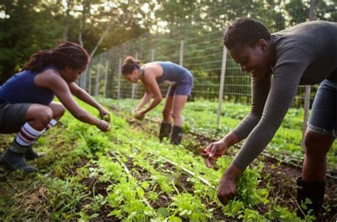 Farming As A Career Planted In Young Minds Vukuzenzele