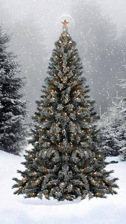 169 Best Christmas Trees Images On Pinterest Christmas Time Merry