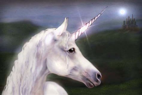 unicorn unicorns photo  fanpop