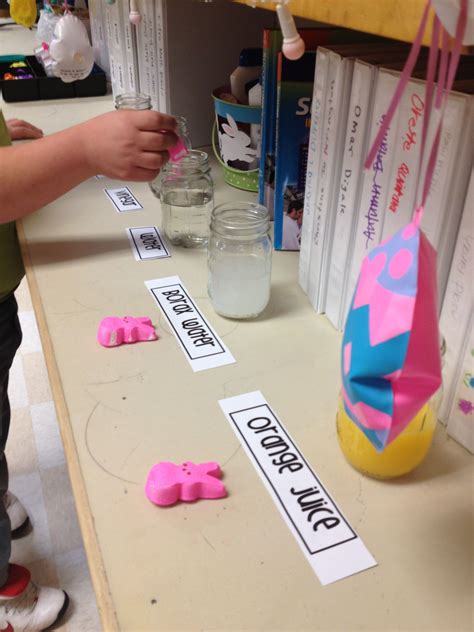 Peeps Experiment Easy Science Projects Spring Classroom Fun Science