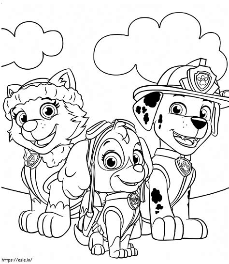 Everest Skye And Marshall In Paw Patrol Coloring Page
