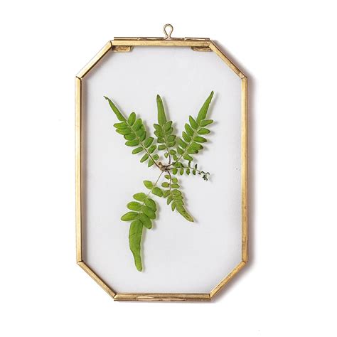 Buy Ncypsmall Gold Glass Floating Frame For Pressed Dried Flowers 4x6