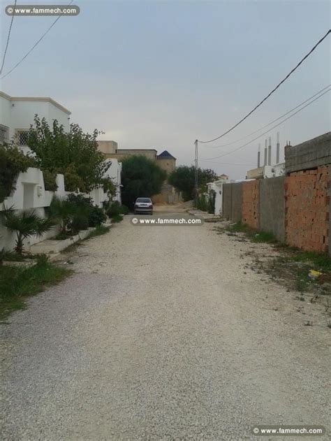 Immobilier Tunisie Terrain à Vendre Raoued Terrain Tayara Barcha 1