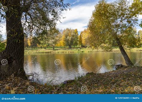 Calm Autumn River With Colorful Foliage Reflection Stock Image Image