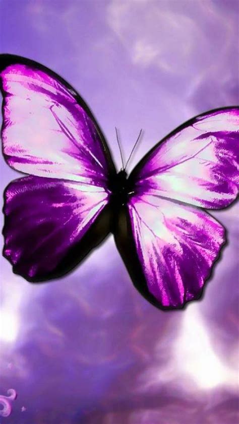 Dark Purple Butterfly Wallpapers Top Free Dark Purple Butterfly