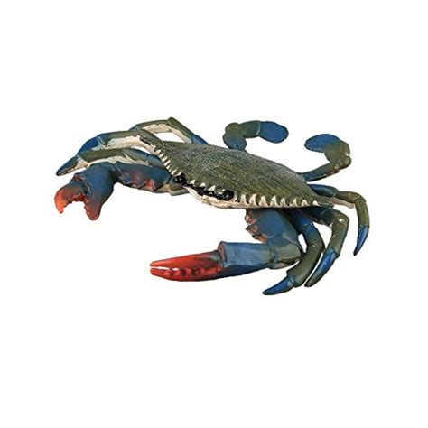 Buy Warmtree Simulated Sea Life Animals Figurines Realistic Sea