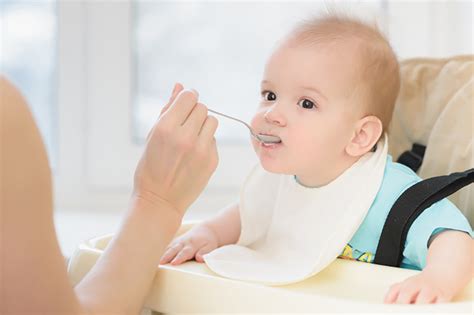 The Baby Food Manual How To Teach Your Baby To Eat Healthily