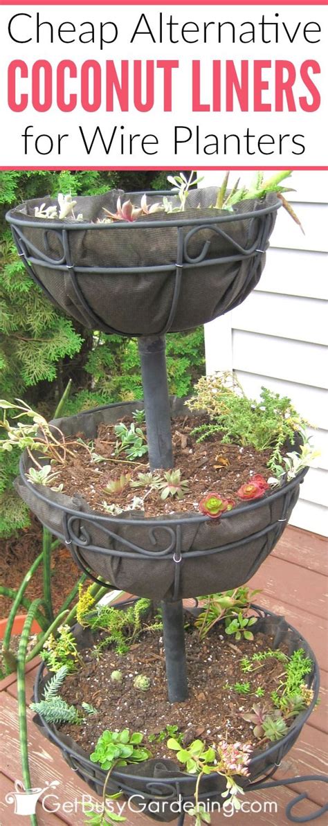 Sep 21, 2017 · a coconut fiber basket liner, also known as a coco liner, or coir, is an easy, practical and attractive way to plant a hanging basket. A Cheap Alternative To Coconut Liners For Hanging Baskets ...
