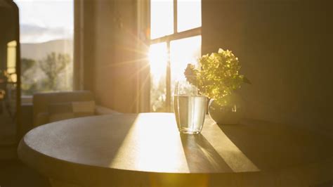 The Importance Of Sunlight At Home And In The Workplace Propsocial