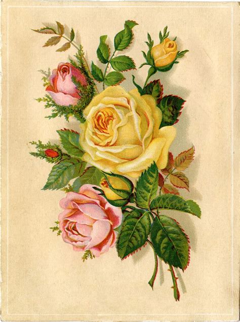 Vintage Stock Images Yellow And Pink Roses The Graphics Fairy