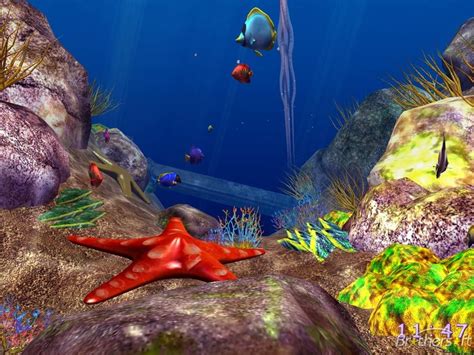 Free Download Free Under The Sea 3d Screensaver Under The Sea 3d