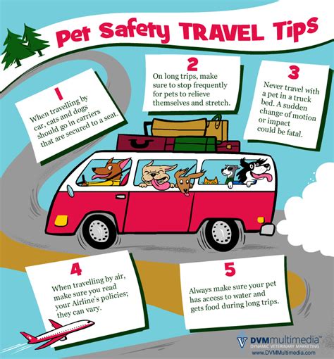 Travel Safety Tips Combs Veterinary Clinic