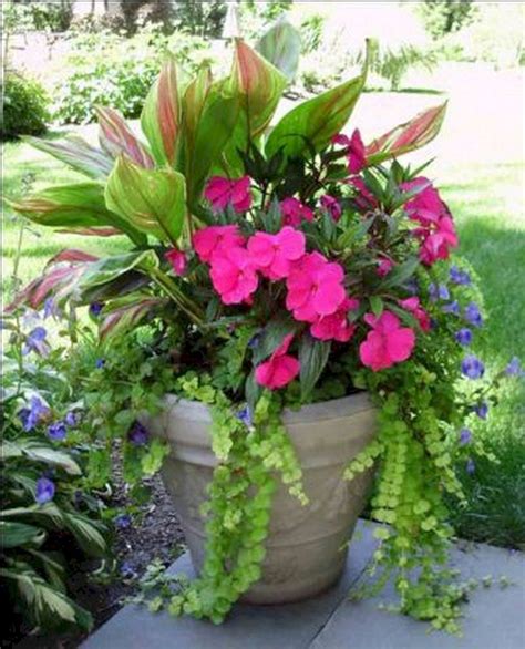 Beautiful 25 Summer Color Container Planting Ideas For Your Front