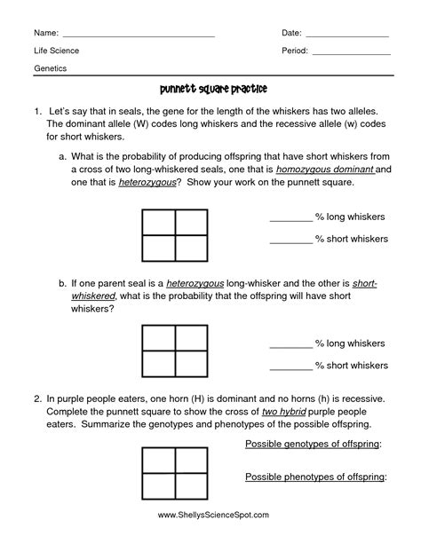 punnett square worksheet with answers