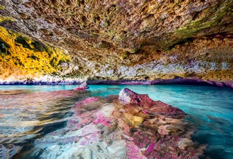 Exploring The Jeep Trails Of Aruba Unveiling The Best Spots To Visit