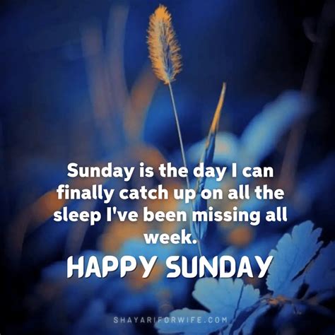 2023 Happy Sunday Images Happy Sunday Quotes To Brighten Your Morning