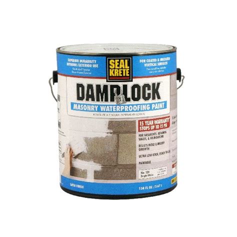 Damplock Masonry Waterproofing Paint Bright White Gal