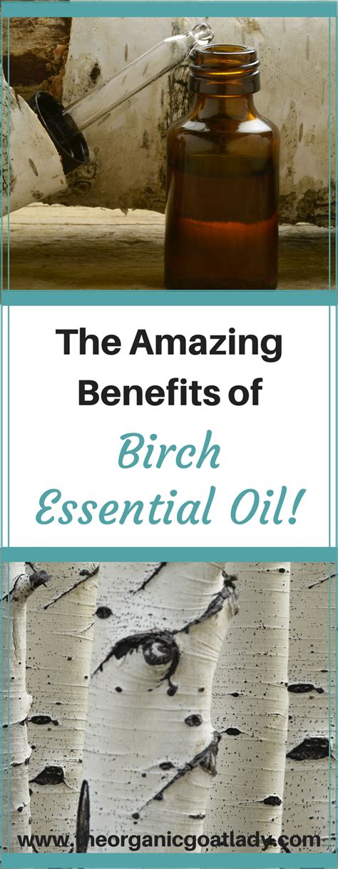 Why You Should Use Birch As Your July Essential Oil Of The Month The