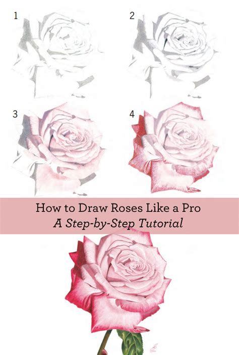 How to draw flowers for beginners step by step. How to Draw Flowers: Free Flower Drawing Guide - Artists ...