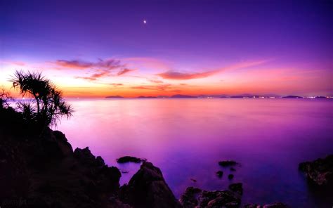 壁紙 海岸の紫色の夕焼け 2560x1600 Hd 無料のデスクトップの背景 画像