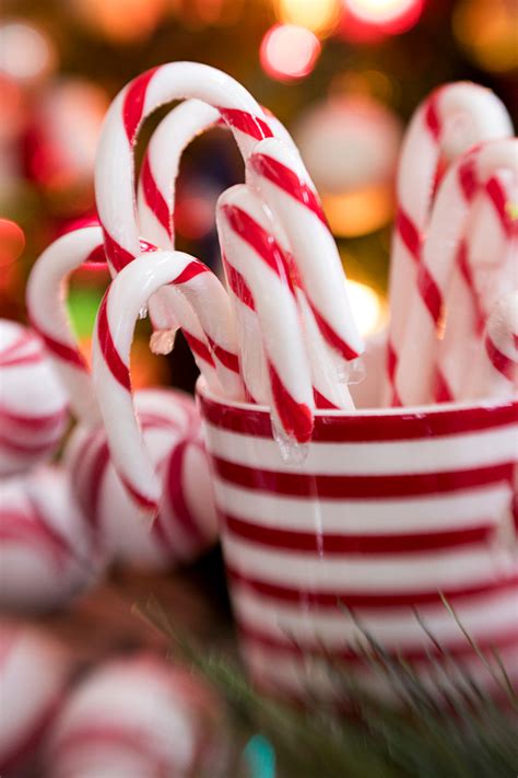 Candy Canes Free Stock Cc0 Photo