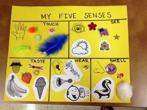 Senses Activity Youth First