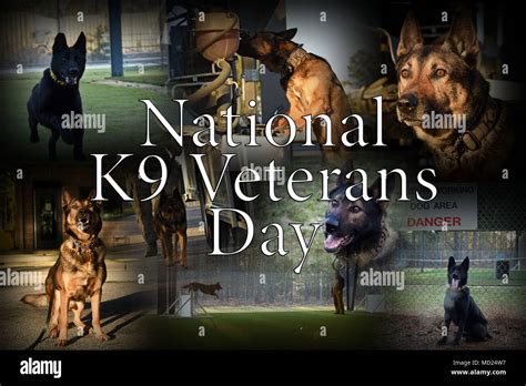 National K9 Veterans Day Is March 13 2018 Us Air Force Security