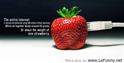 11 quotes have been tagged as strawberry: Strawberry Quotes And Sayings. QuotesGram