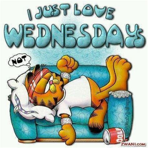 Wednesdays I Love Mondays Hump Day Pictures Garfield Quotes
