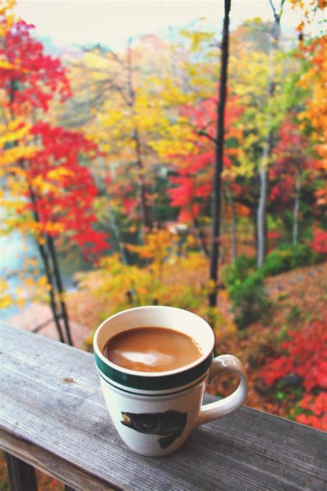 4k Coffee Autumn Wallpapers High Quality Download Free