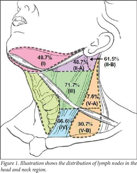 Figure 1 From Management Of Lateral Cervical Metastases In Papillary