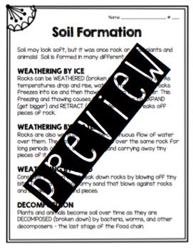 Read the text and answer the questions that introduction soil formation (creation) takes many years, and many things affect a soil as it forms. Soil Formation Worksheet by For the Love of Birds | TpT
