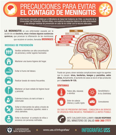 Infographic Meningitis Graphic Design And Media