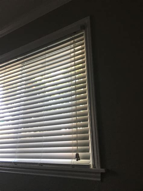 My Blinds Are Still Closed From When I Closed Them Yesterday R