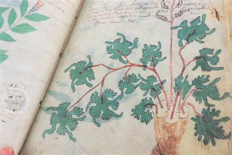 Voynich Manuscript Facsimile Edition