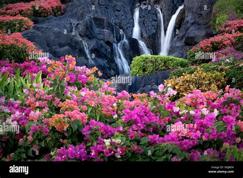 Japanese Flower Garden Waterfall