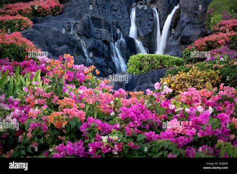 Most Beautiful Waterfalls With Flowers