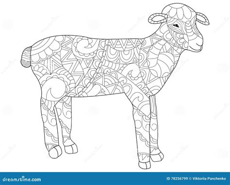 Sheep Coloring Vector For Adults Stock Vector Illustration Of Nature