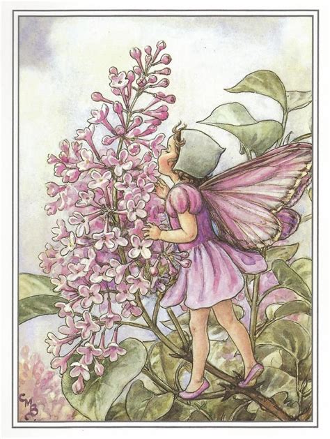 The Lilac Fairy Cicely Mary Barker Flower Fairies Vintage Etsy In