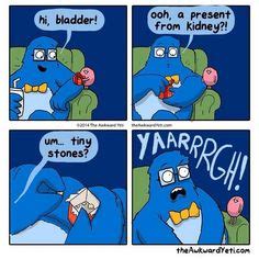 Kidney humor on pinterest, dialysis humor, drums and kidney dialysis. 19 Best Kidney Stone Humor images | Humor, Kidney stones funny, Funny