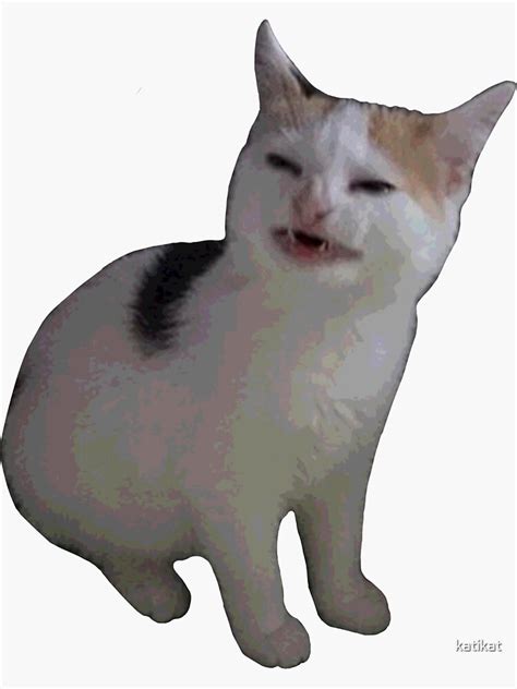 Angry Cat Meme Sticker By Katikat Redbubble