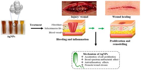 Ijms Free Full Text Advances In Nanotechnology Towards Development