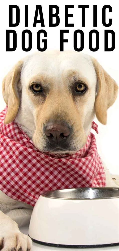 Please share them, we love to learn from our readers! Diabetic Dog Food Recipe - 9 Best Dog Foods For Diabetic Dogs 2020 Low Glycemic Index High Fiber ...