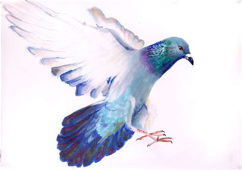 Pigeon Flying Painting