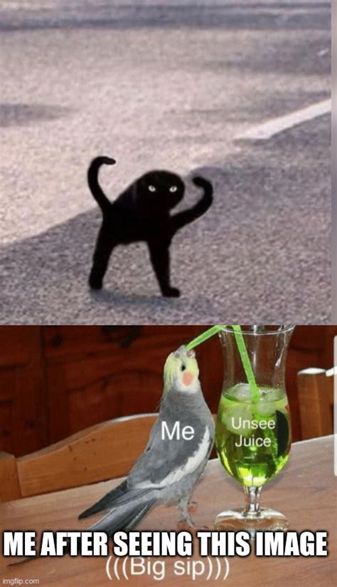 Ahhhhhhhhhh My Eyes Imgflip