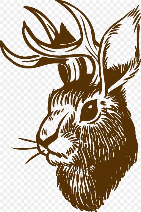 Jackalope Vector Graphics Stock Illustration Drawing Png 6465x9723px