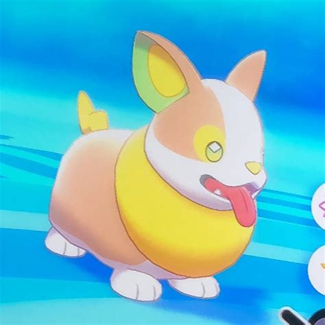 Yamper and Impidimp: two new Pokémon in Sword and Shield ...