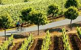 Best Bike Tours Napa Valley Pictures