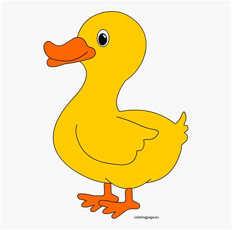 Transparent Free Duck Clipart Cute Duck Clip Art Hd Png Download